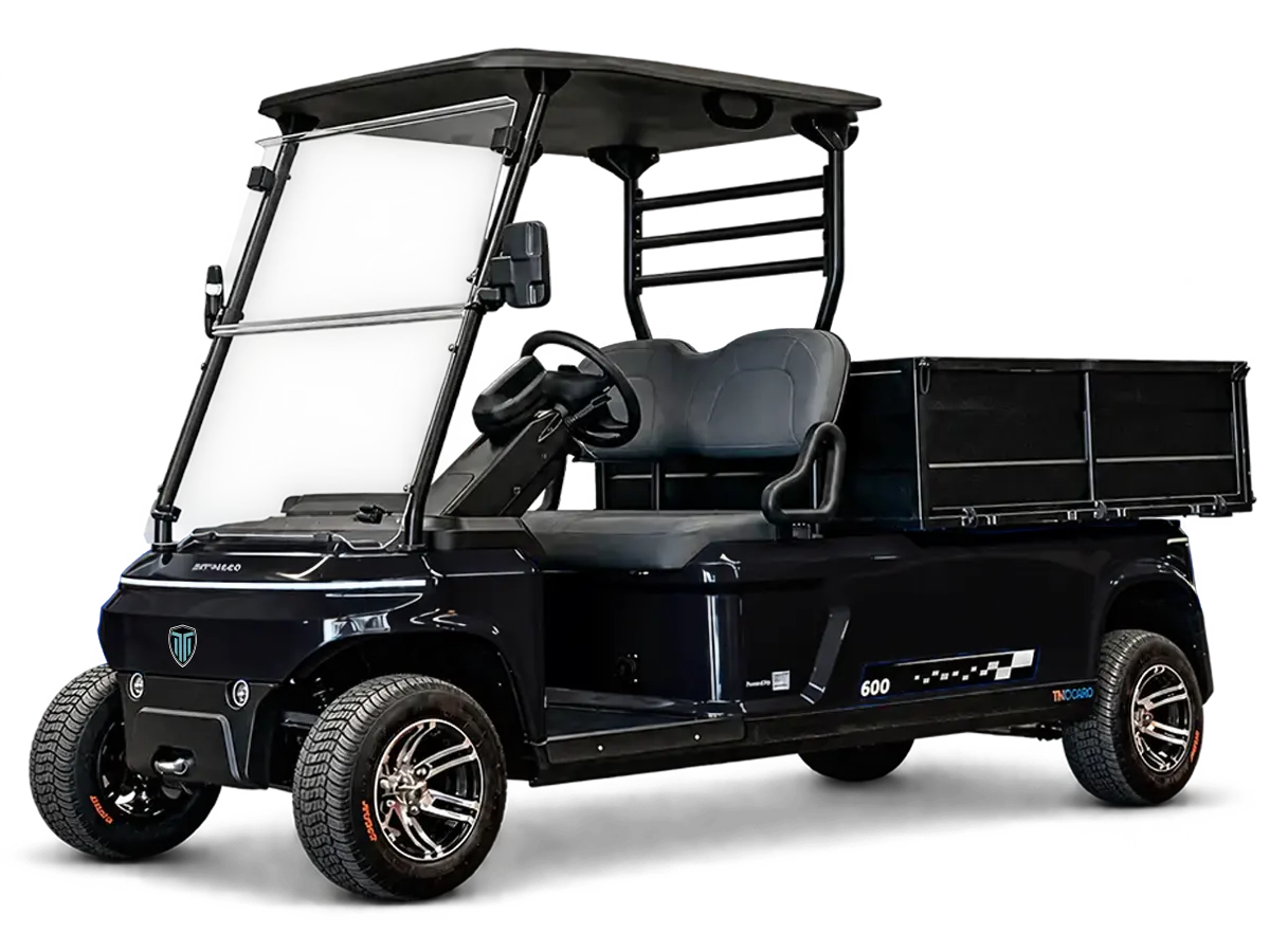 Pintura Preto Ouro Negro